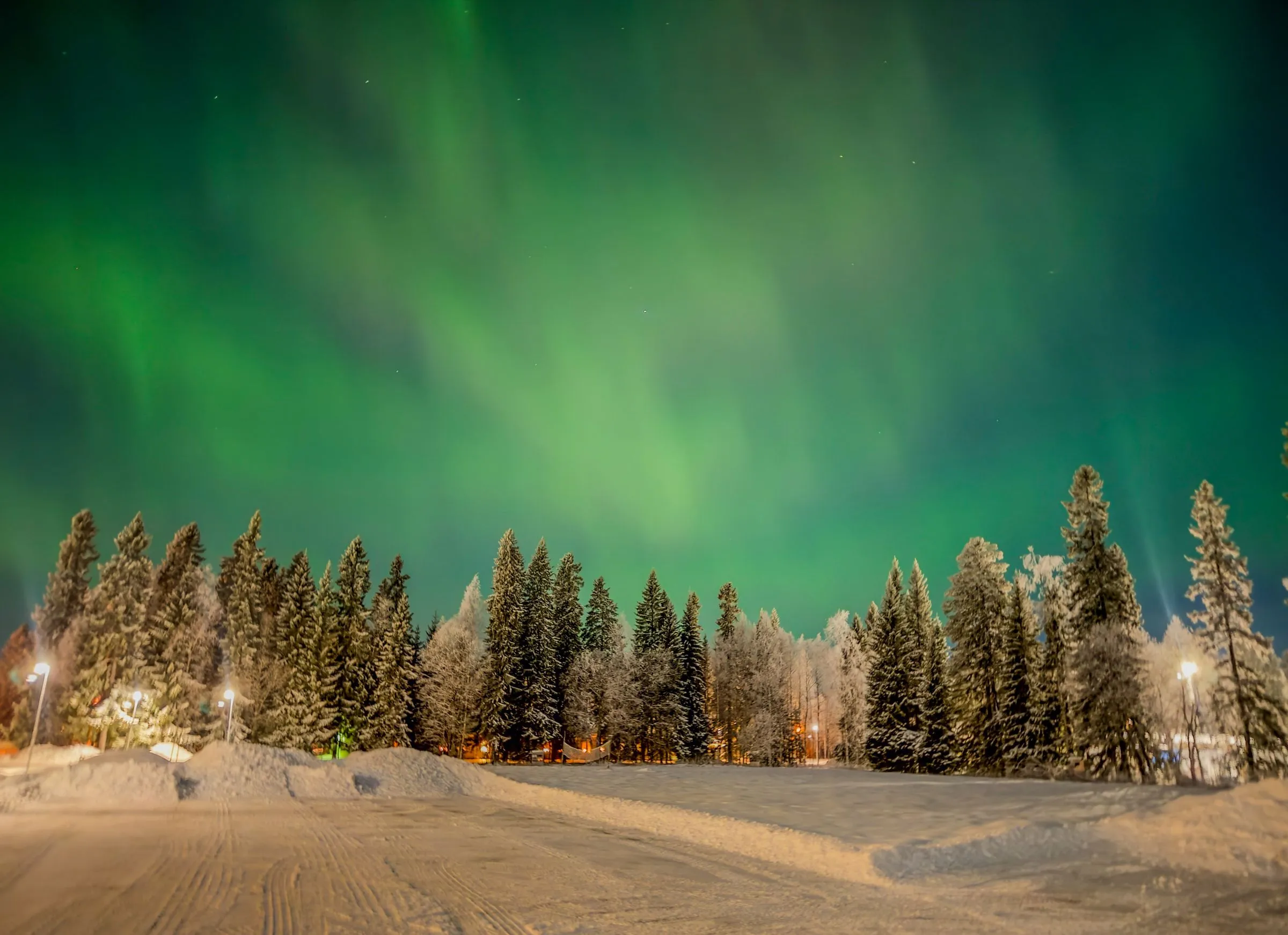 Green northern lights over a snowy road lined with spruce trees, lit by streetlamps