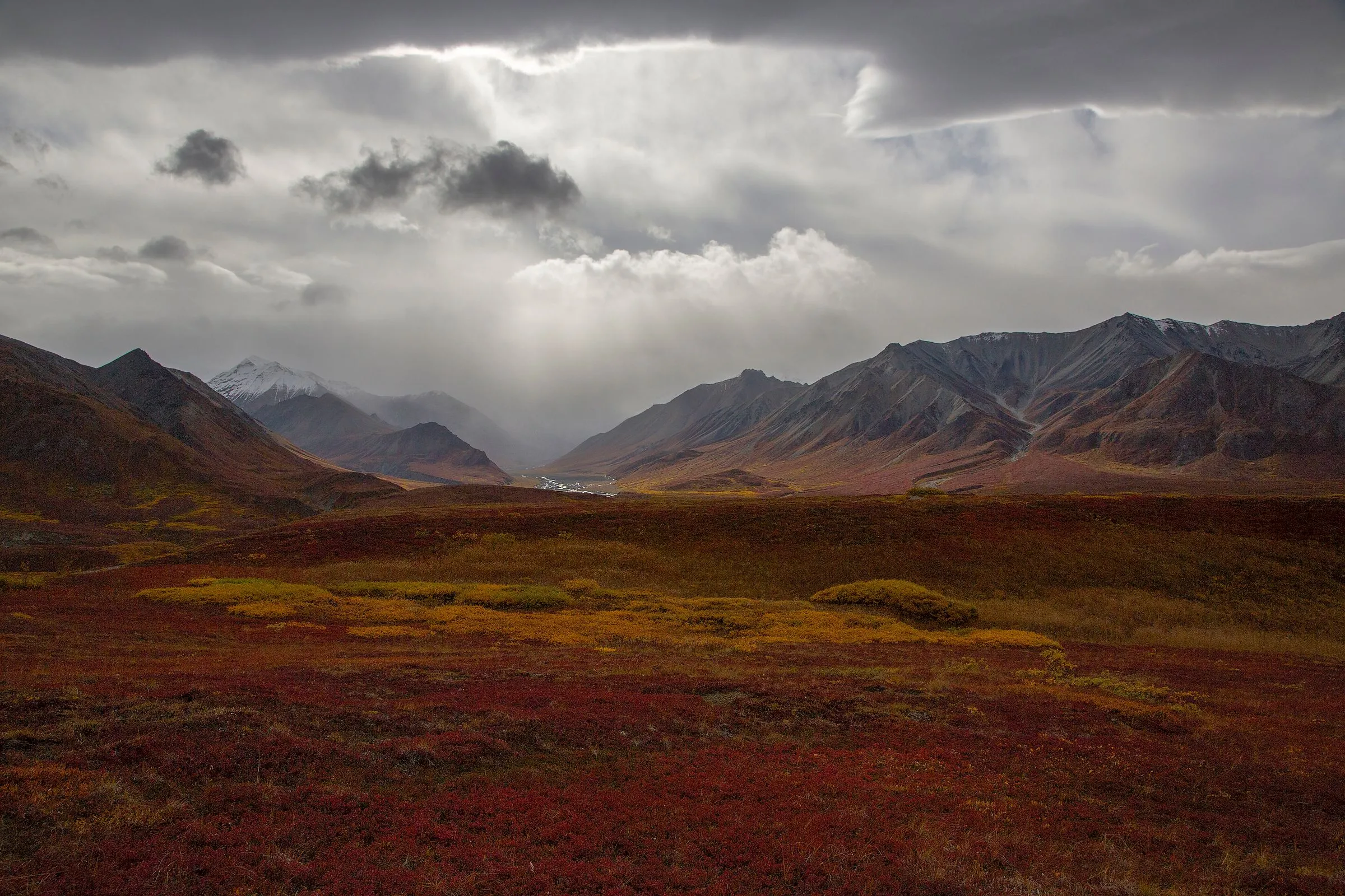 Red and gold autumn tundra in a wide valley, with mountains under heavy cloud