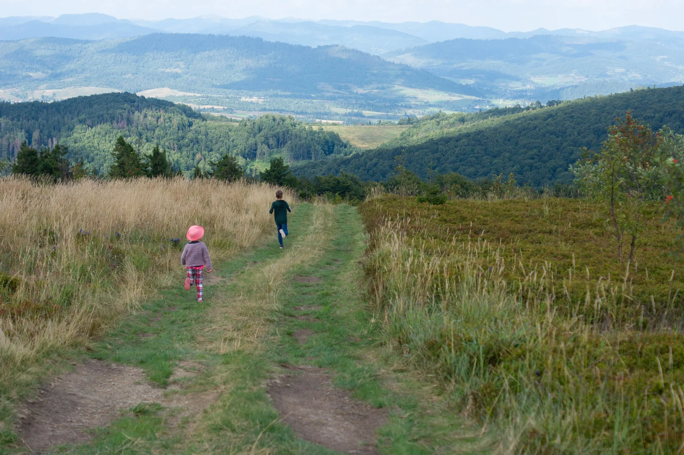 A parent and a small child walking a grassy trail towards wooded hills